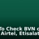 How To Check BVN on MTN, Airtel, Etisalat