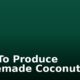 How To Produce Homemade Coconut Oil