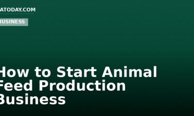 How to Start Animal Feed Production Business