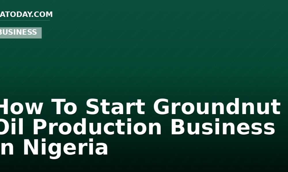 How To Start Groundnut Oil Production Business In Nigeria
