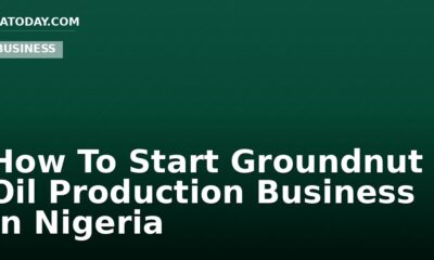 How To Start Groundnut Oil Production Business In Nigeria