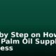 Step by Step on How to Start Palm Oil Supply Business