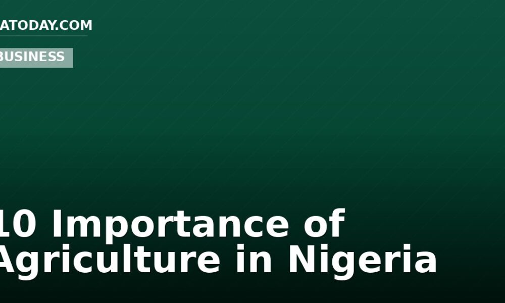 10 Importance of Agriculture in Nigeria