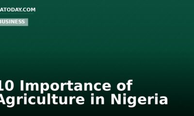 10 Importance of Agriculture in Nigeria