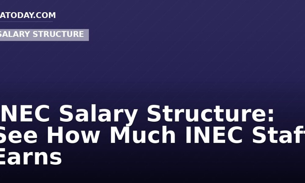 INEC Salary Structure: See How Much INEC Staff Earns