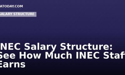 INEC Salary Structure: See How Much INEC Staff Earns