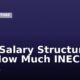 INEC Salary Structure: See How Much INEC Staff Earns