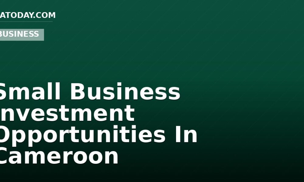 Small Business Investment Opportunities In Cameroon