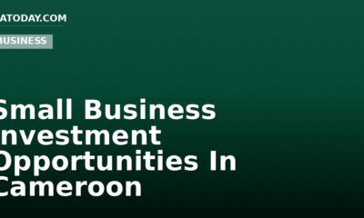 Small Business Investment Opportunities In Cameroon