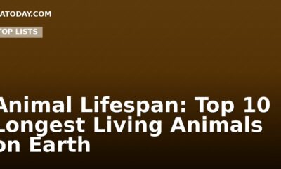 Animal Lifespan: Top 10 Longest Living Animals on Earth