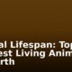 Animal Lifespan: Top 10 Longest Living Animals on Earth