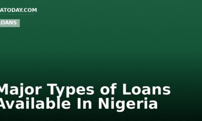 Major Types of Loans Available In Nigeria
