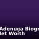 Mike Adenuga Biography And Net Worth