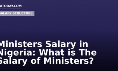 Ministers Salary in Nigeria: What is The Salary of Ministers?
