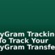 MoneyGram Tracking: How To Track Your MoneyGram Transfer