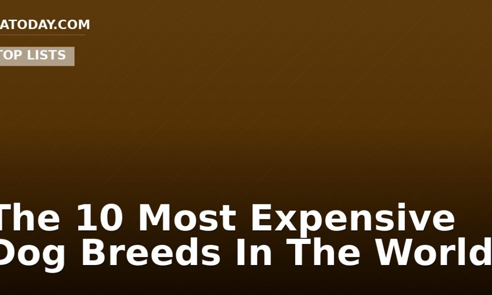 The 10 Most Expensive Dog Breeds In The World