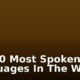 Top 10 Most Spoken Languages In The World