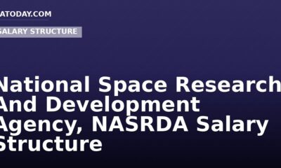 National Space Research And Development Agency, NASRDA Salary Structure