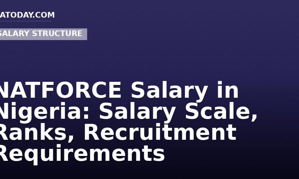 NATFORCE Salary in Nigeria: Salary Scale, Ranks, Recruitment Requirements