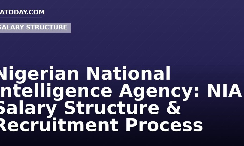 Nigerian National Intelligence Agency: NIA Salary Structure & Recruitment Process