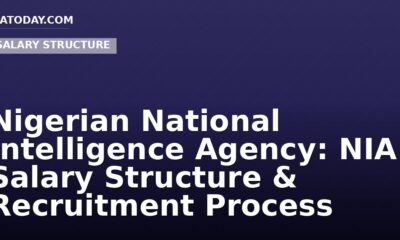 Nigerian National Intelligence Agency: NIA Salary Structure & Recruitment Process