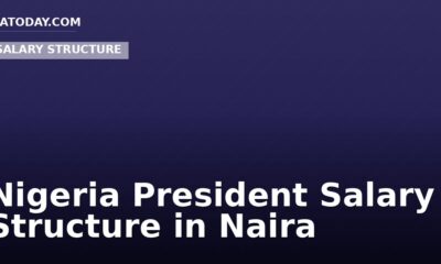 Nigeria President Salary Structure in Naira