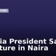 Nigeria President Salary Structure in Naira