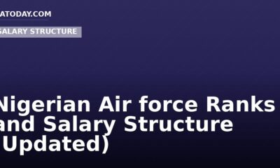 Nigerian Air force Ranks and Salary Structure (Updated)