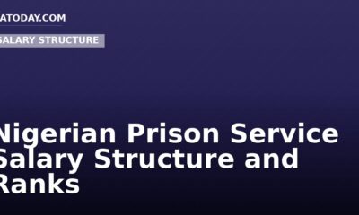 Nigerian Prison Service Salary Structure and Ranks