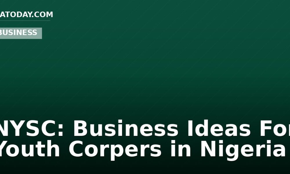 NYSC: Business Ideas For Youth Corpers in Nigeria