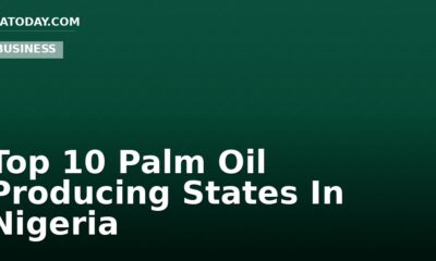 Top 10 Palm Oil Producing States In Nigeria