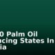Top 10 Palm Oil Producing States In Nigeria