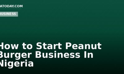 How to Start Peanut Burger Business In Nigeria