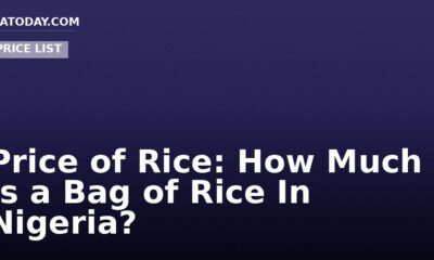 Price of Rice: How Much Is a Bag of Rice In Nigeria?