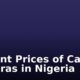 Current Prices of Canon Cameras in Nigeria