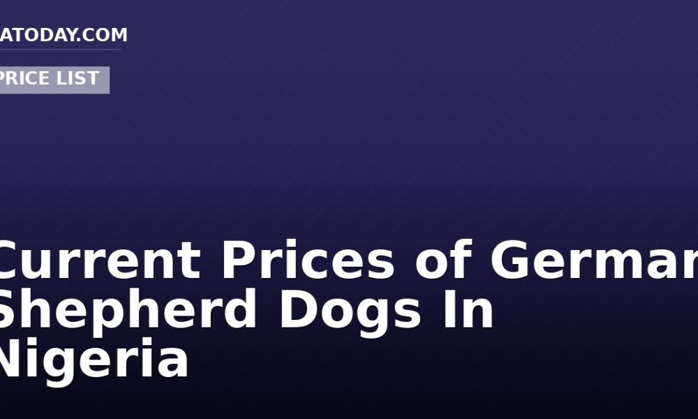 Current Prices of German Shepherd Dogs In Nigeria