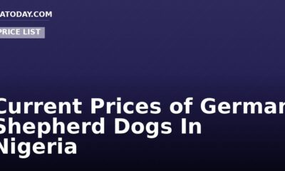 Current Prices of German Shepherd Dogs In Nigeria