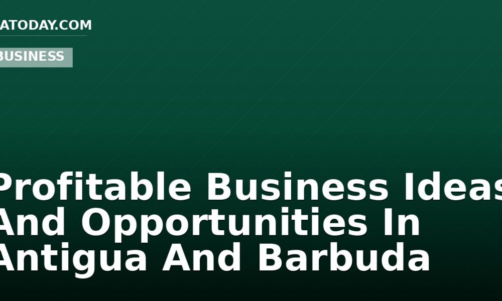 Profitable Business Ideas And Opportunities In Antigua And Barbuda