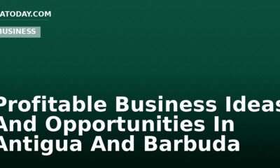 Profitable Business Ideas And Opportunities In Antigua And Barbuda