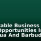 Profitable Business Ideas And Opportunities In Antigua And Barbuda