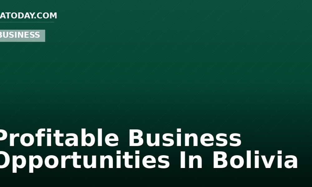Profitable Business Opportunities In Bolivia