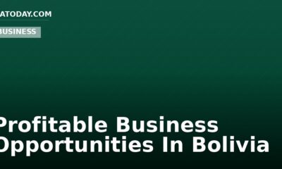Profitable Business Opportunities In Bolivia