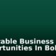 Profitable Business Opportunities In Bolivia