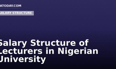 Salary Structure of Lecturers in Nigerian University