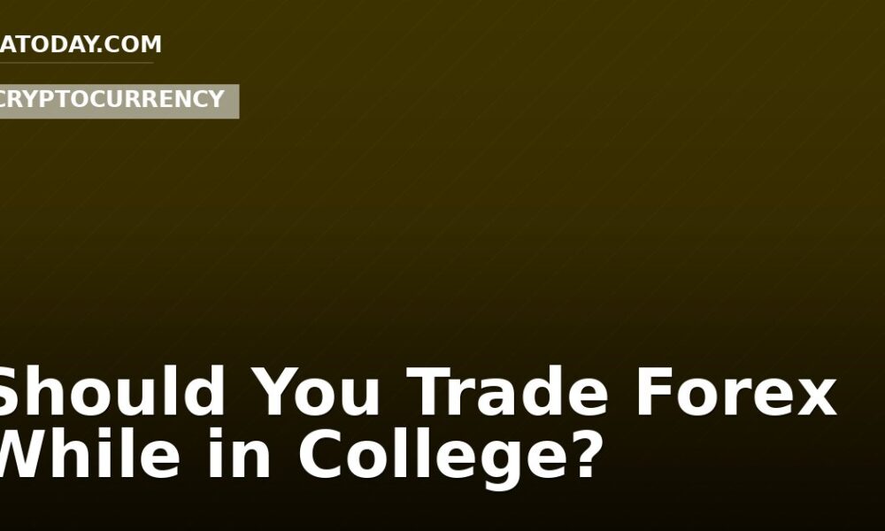 Should You Trade Forex While in College?