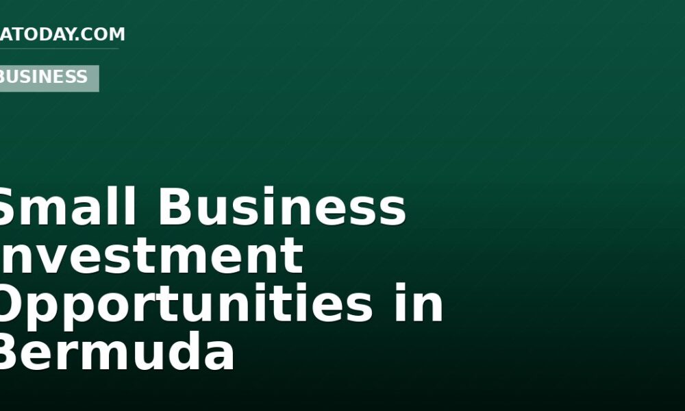 Small Business Investment Opportunities in Bermuda