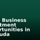 Small Business Investment Opportunities in Bermuda