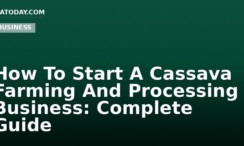 How To Start A Cassava Farming And Processing Business: Complete Guide