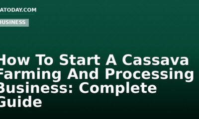 How To Start A Cassava Farming And Processing Business: Complete Guide