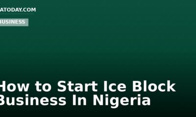 How to Start Ice Block Business In Nigeria